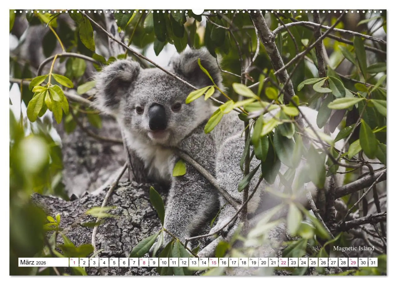 Bild: 9783457693810 | Australien Ostküste - von Cairns nach Sydney (hochwertiger Premium...
