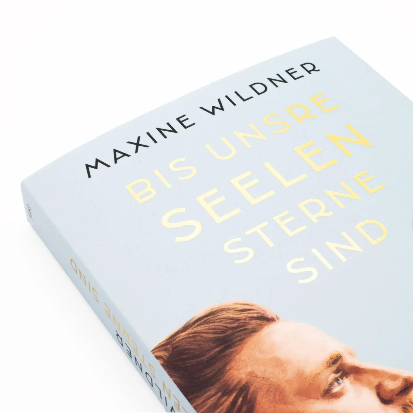 Bild: 9783458683810 | Bis unsre Seelen Sterne sind. Rilke und Lou Andreas-Salomé | Wildner
