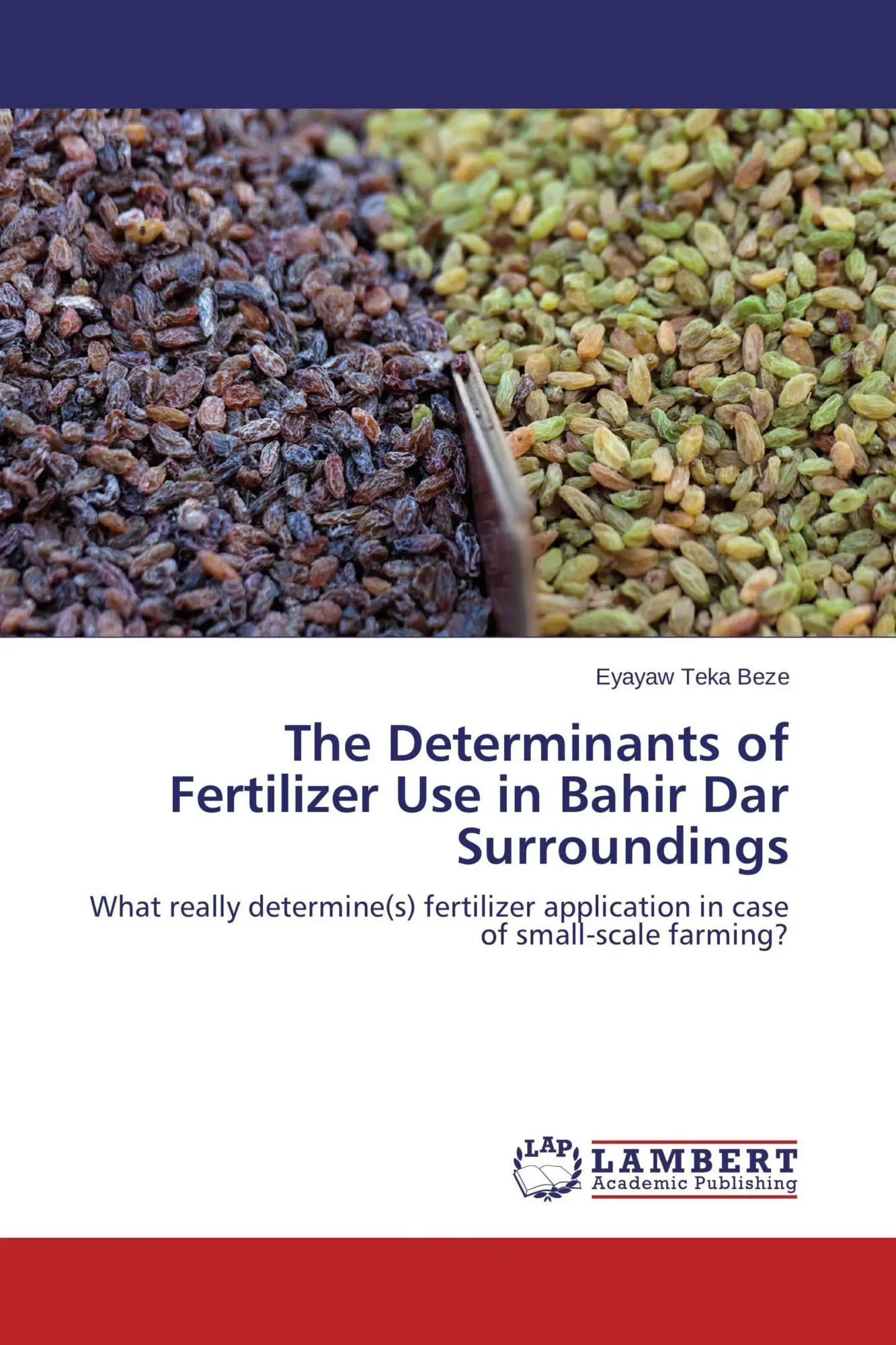 The Determinants of Fertilizer Use in Bahir Dar Surroundings