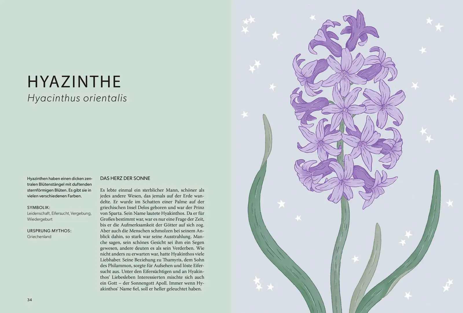Bild: 9783848503810 | Die Welt der Blumen | Alison Davies | Buch | 192 S. | Deutsch | 2026