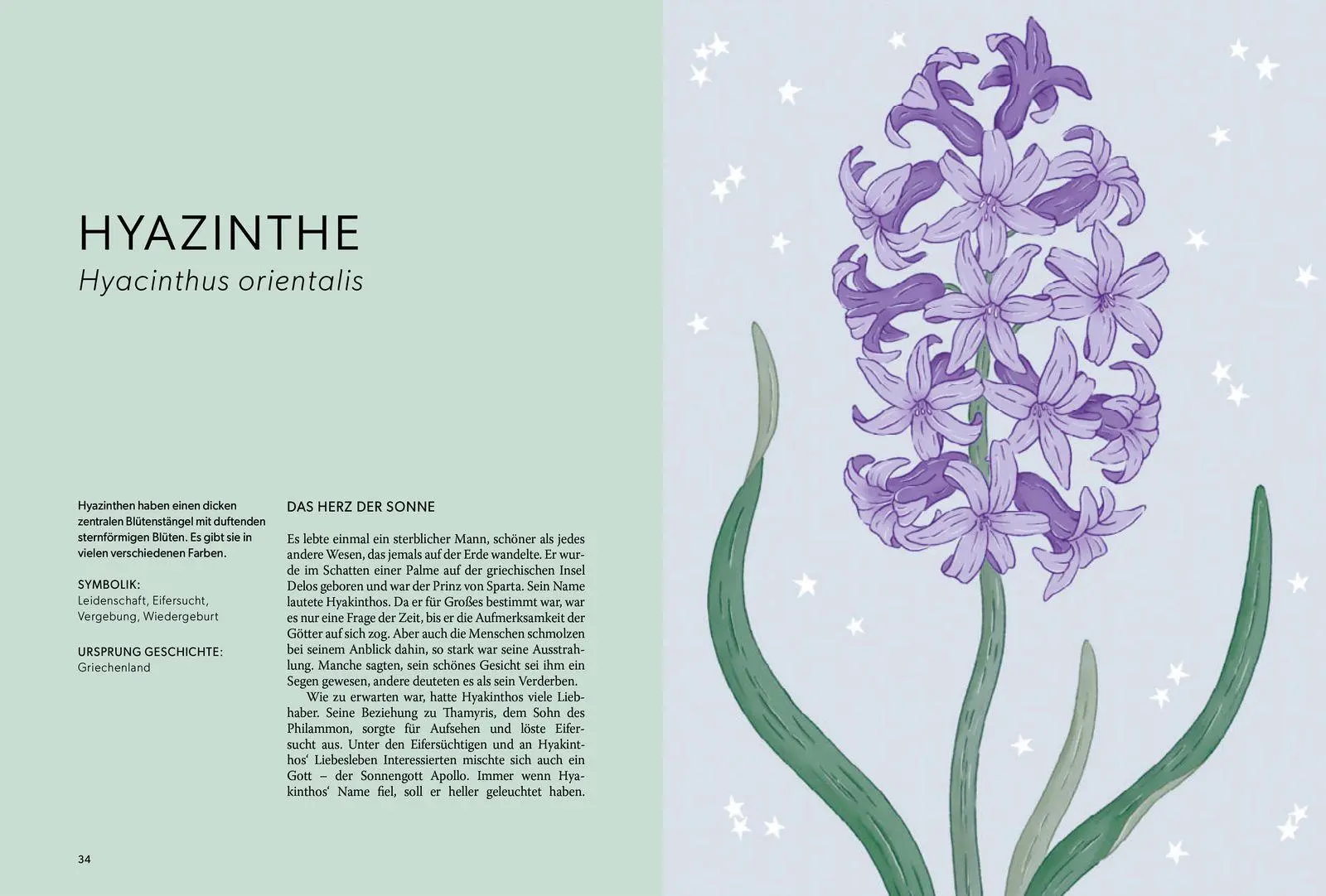 Bild: 9783848503810 | Die Welt der Blumen | Alison Davies | Buch | 192 S. | Deutsch | 2026