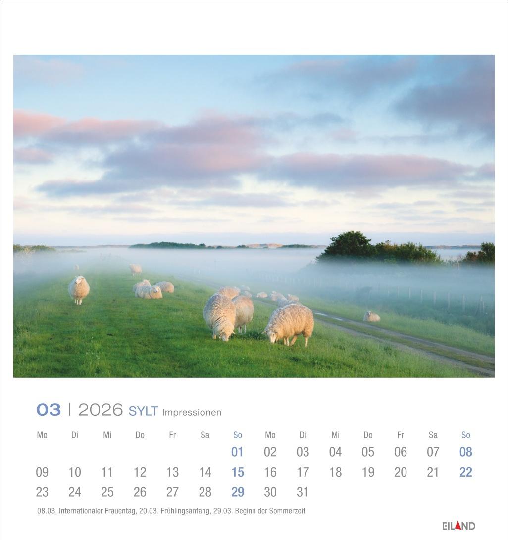 Bild: 9783964023810 | Sylt Impressionen Postkartenkalender 2026 | Hans Jessel | Kalender