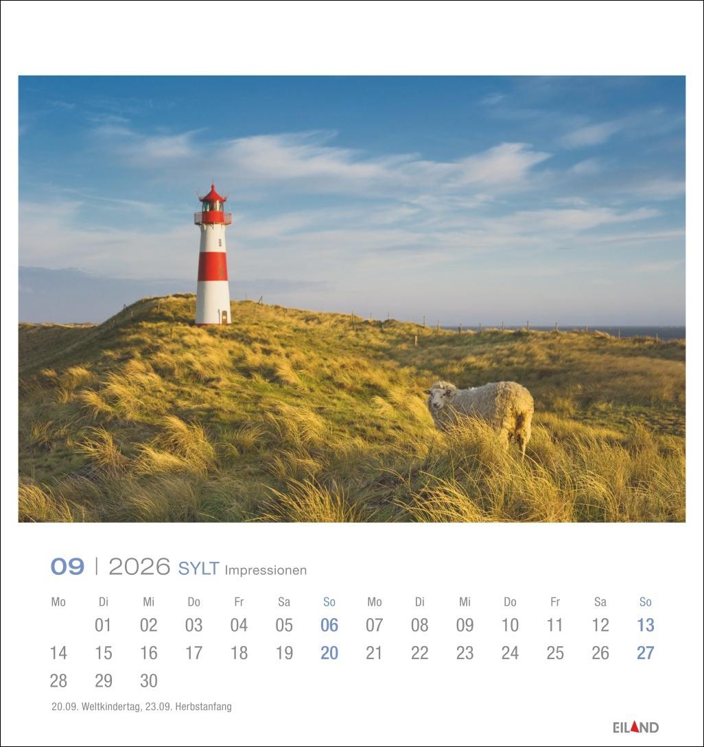Bild: 9783964023810 | Sylt Impressionen Postkartenkalender 2026 | Hans Jessel | Kalender