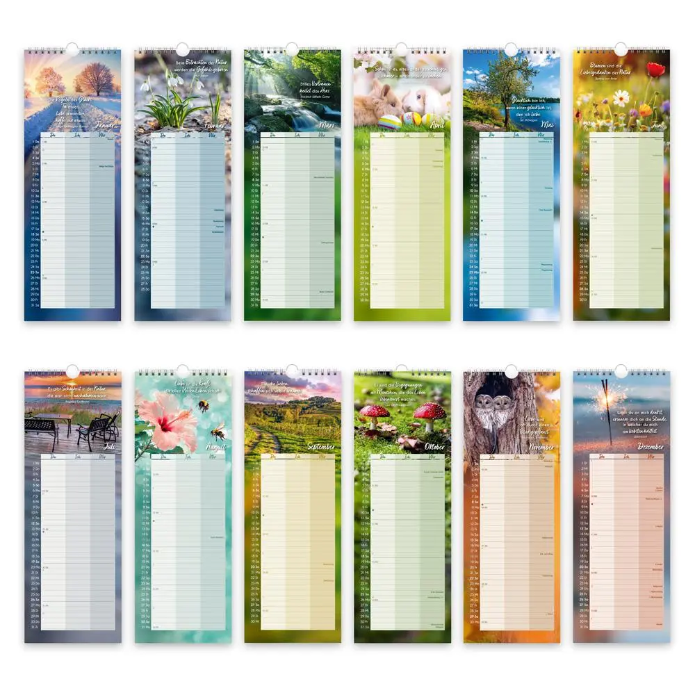 Bild: 9783988023810 | Trötsch Maxi-Streifenkalender Momente für uns 2026 | Wandkalender | KG