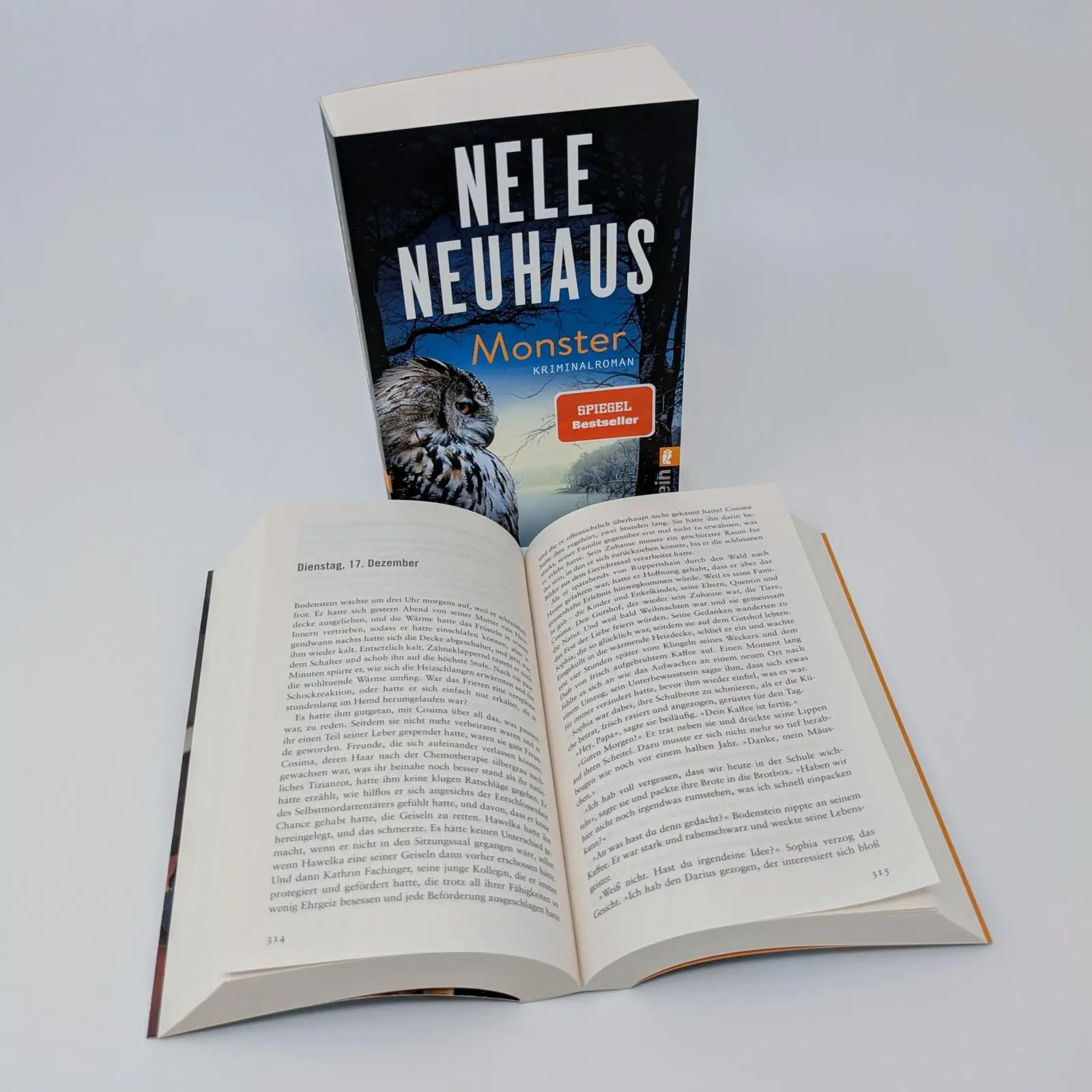 Bild: 9783548073910 | Monster | Nele Neuhaus | Taschenbuch | Ein Bodenstein-Kirchhoff-Krimi