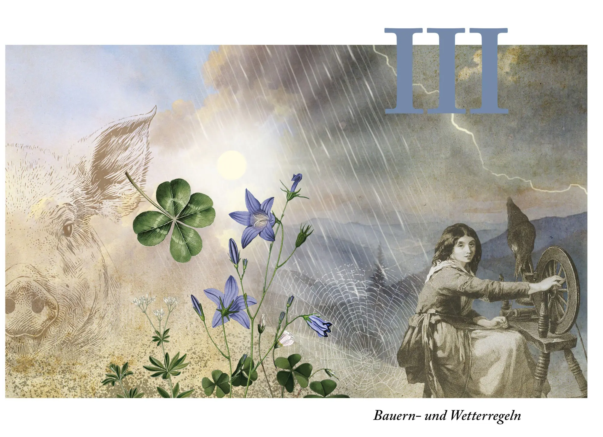 Bild: 9783710403910 | Volksweisheiten und Aberglaube im Alpenraum | Christoph Frühwirth