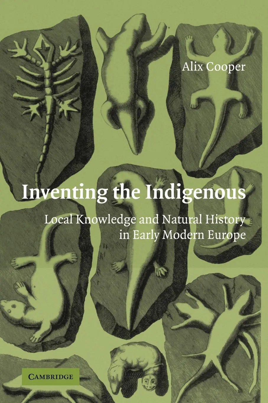 Cover: 9780521124010 | Inventing the Indigenous | Alix Cooper (u. a.) | Taschenbuch | 2009