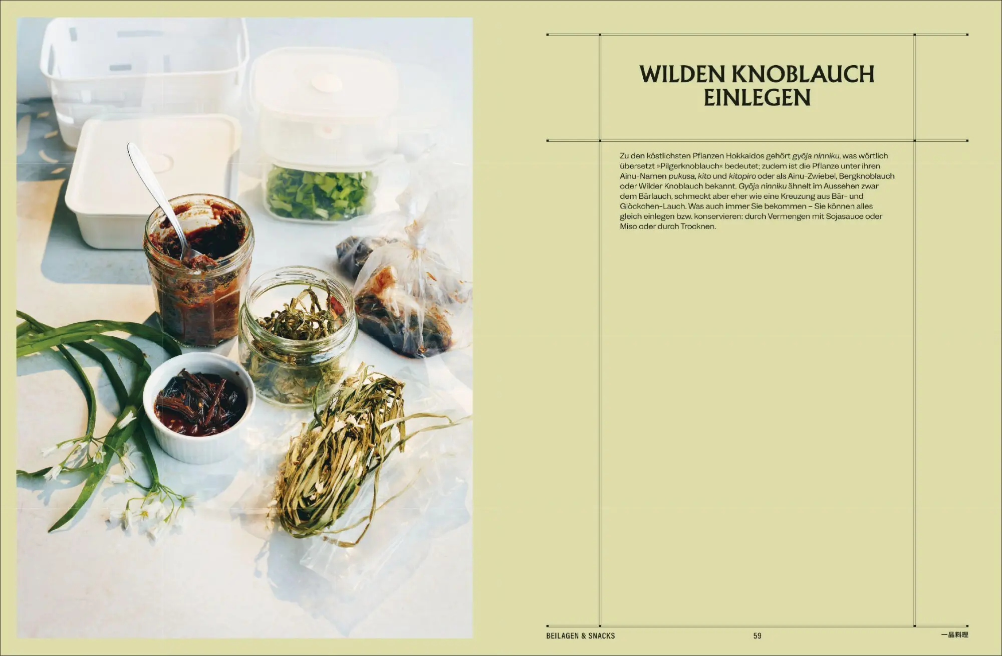 Bild: 9783517104010 | JAPAN, Hokkaid¿ das kulinarische Paradies | Tim Anderson | Buch | 2025
