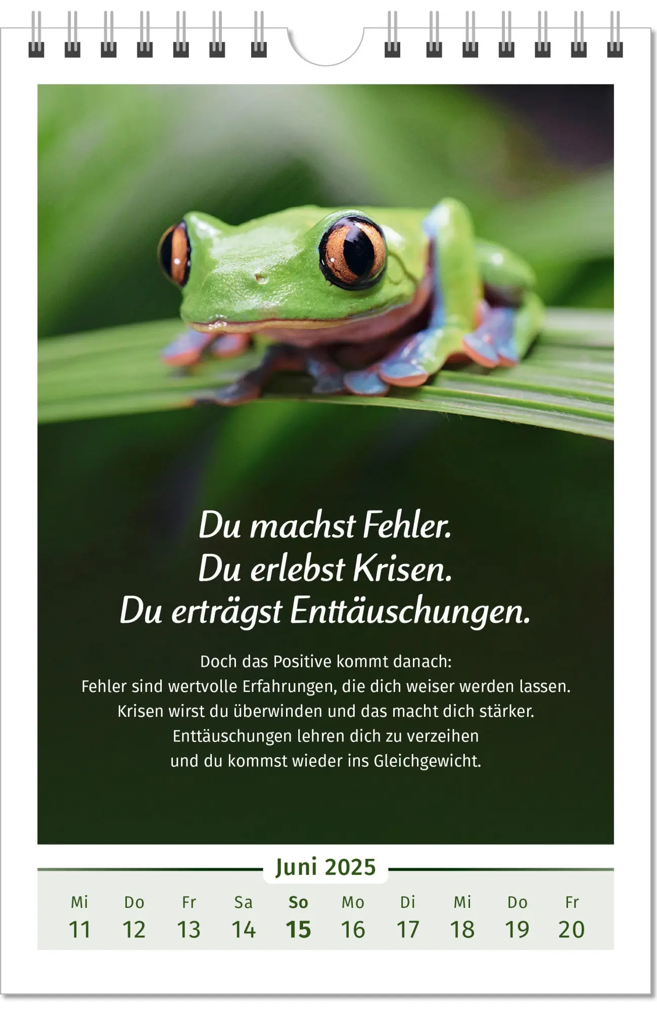 Bild: 9783910294110 | Der Lebensfreude-Kalender 2025 im Großformat | Doris Wolf (u. a.)