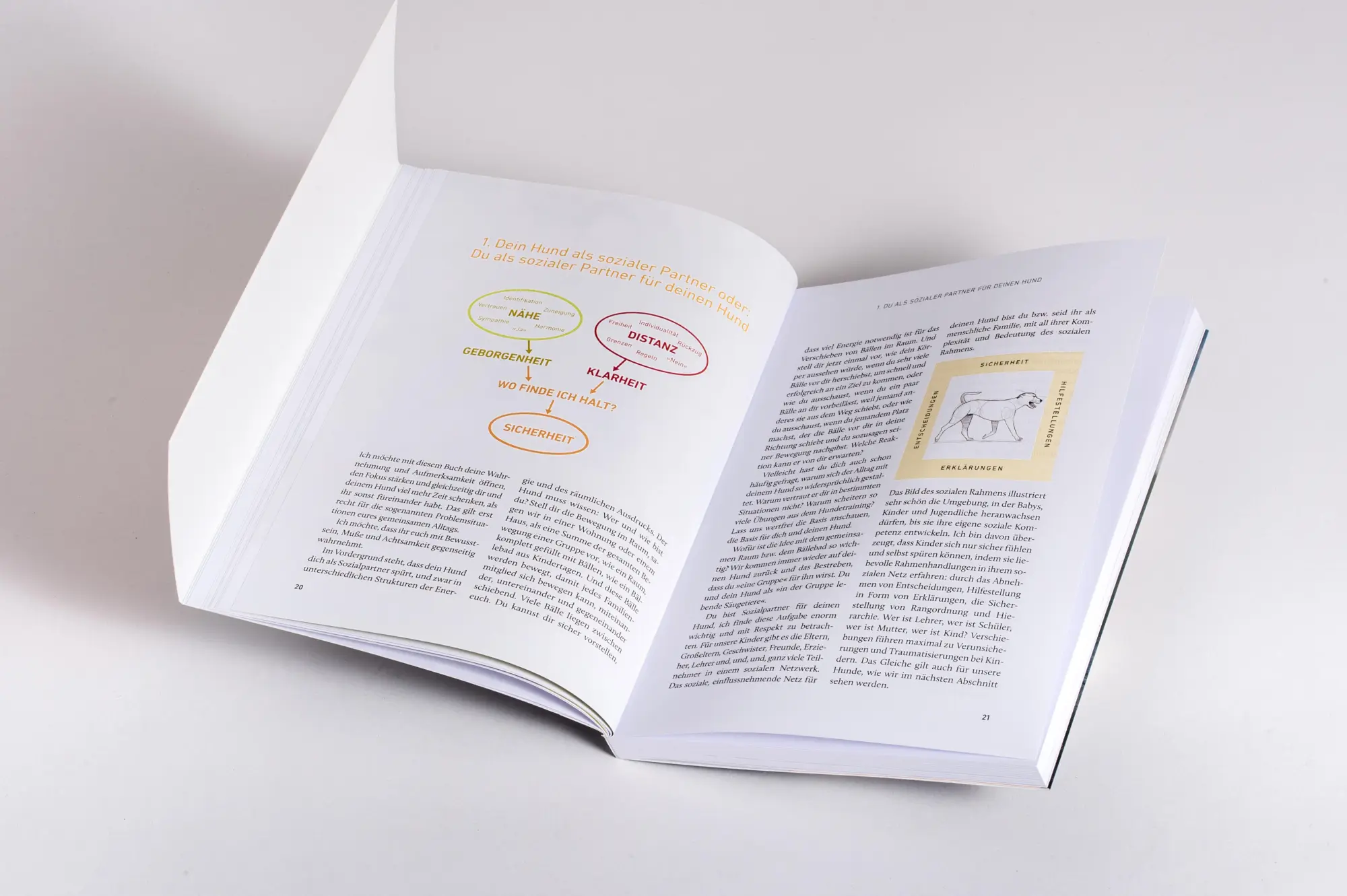 Bild: 9783442224210 | Nähe und Distanz in der Hundeerziehung | Nicole Brinkmann | Buch
