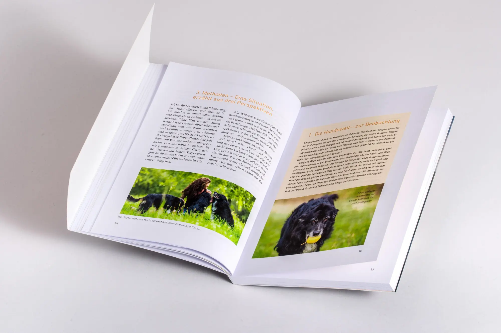 Bild: 9783442224210 | Nähe und Distanz in der Hundeerziehung | Nicole Brinkmann | Buch