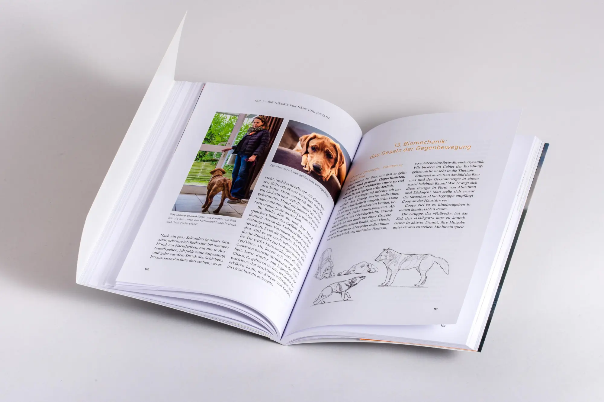 Bild: 9783442224210 | Nähe und Distanz in der Hundeerziehung | Nicole Brinkmann | Buch