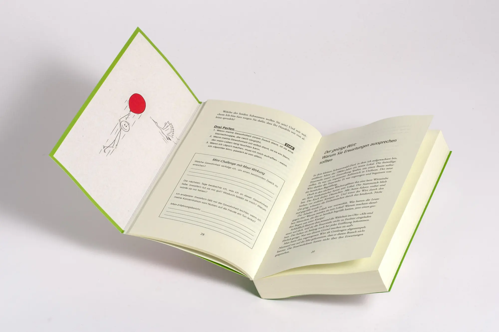 Bild: 9783442394210 | Dieses Buch verändert dein Leben für immer | Martin Wehrle | Buch