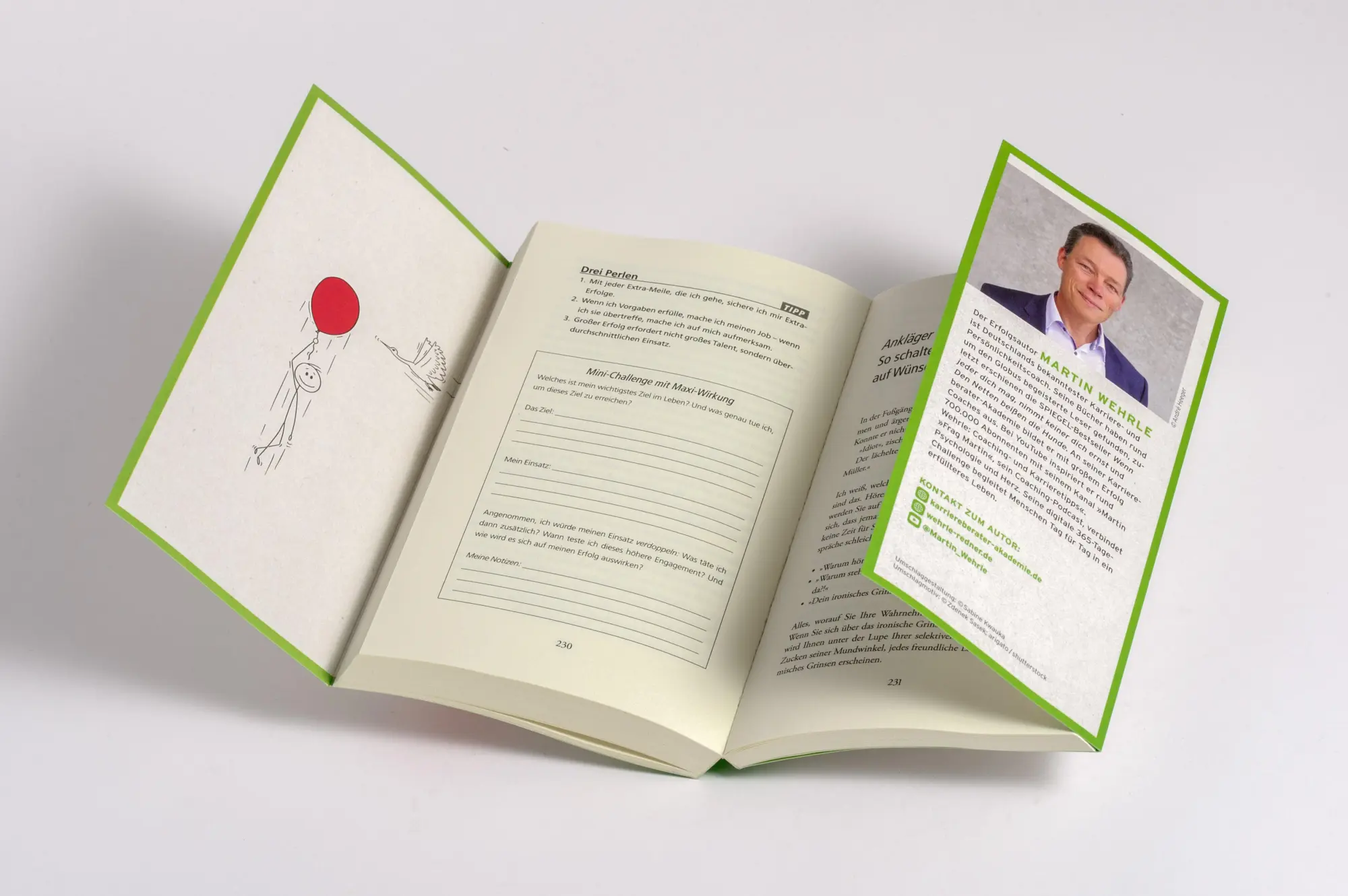 Bild: 9783442394210 | Dieses Buch verändert dein Leben für immer | Martin Wehrle | Buch