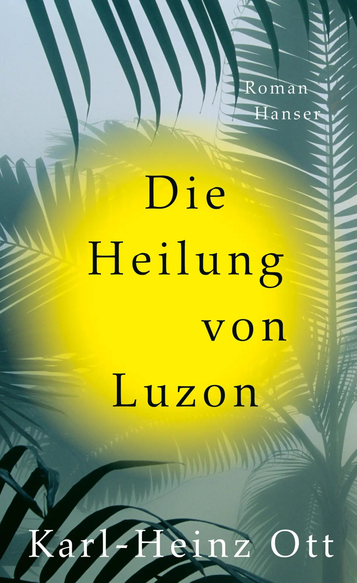 Cover: 9783446284210 | Die Heilung von Luzon | Roman | Karl-Heinz Ott | Buch | 336 S. | 2025