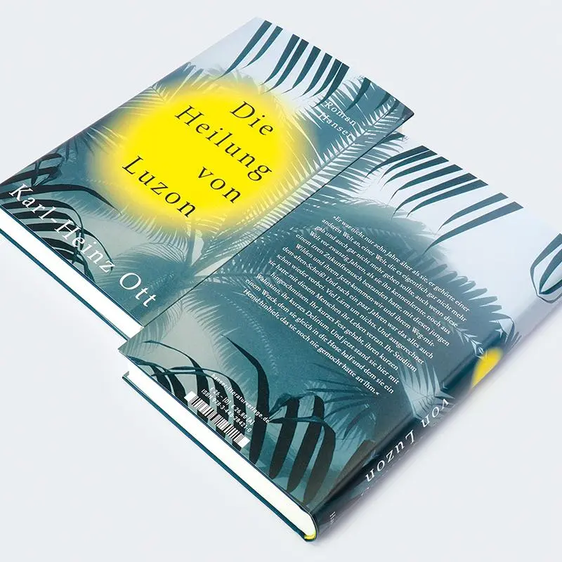 Bild: 9783446284210 | Die Heilung von Luzon | Roman | Karl-Heinz Ott | Buch | 336 S. | 2025