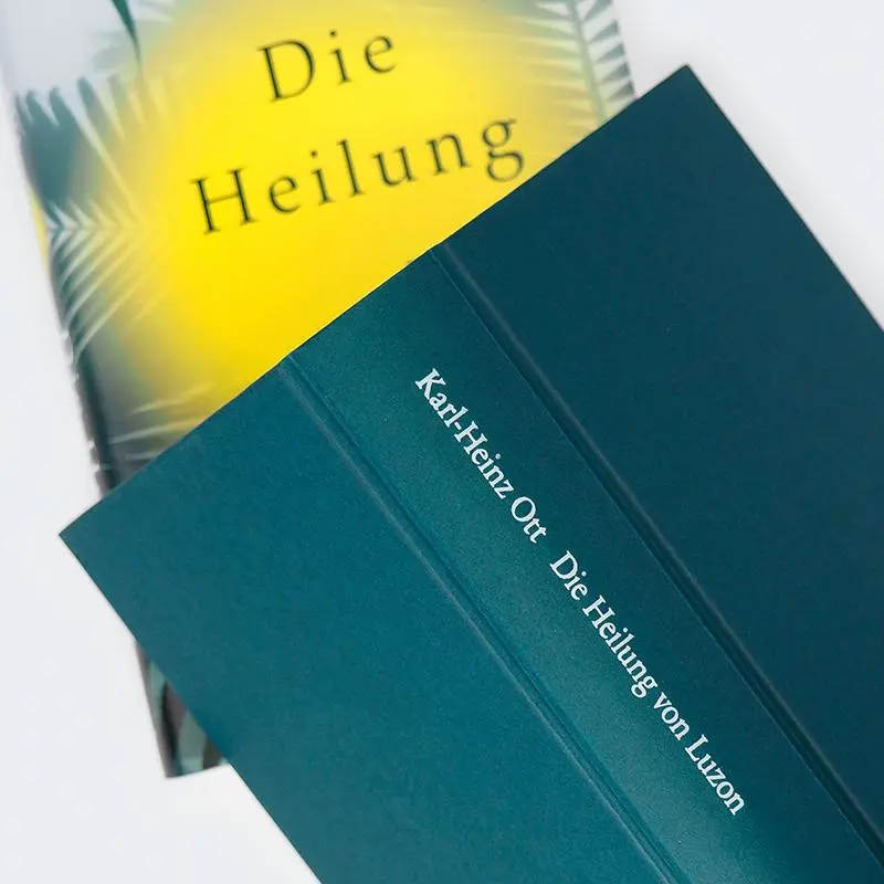 Bild: 9783446284210 | Die Heilung von Luzon | Roman | Karl-Heinz Ott | Buch | 336 S. | 2025