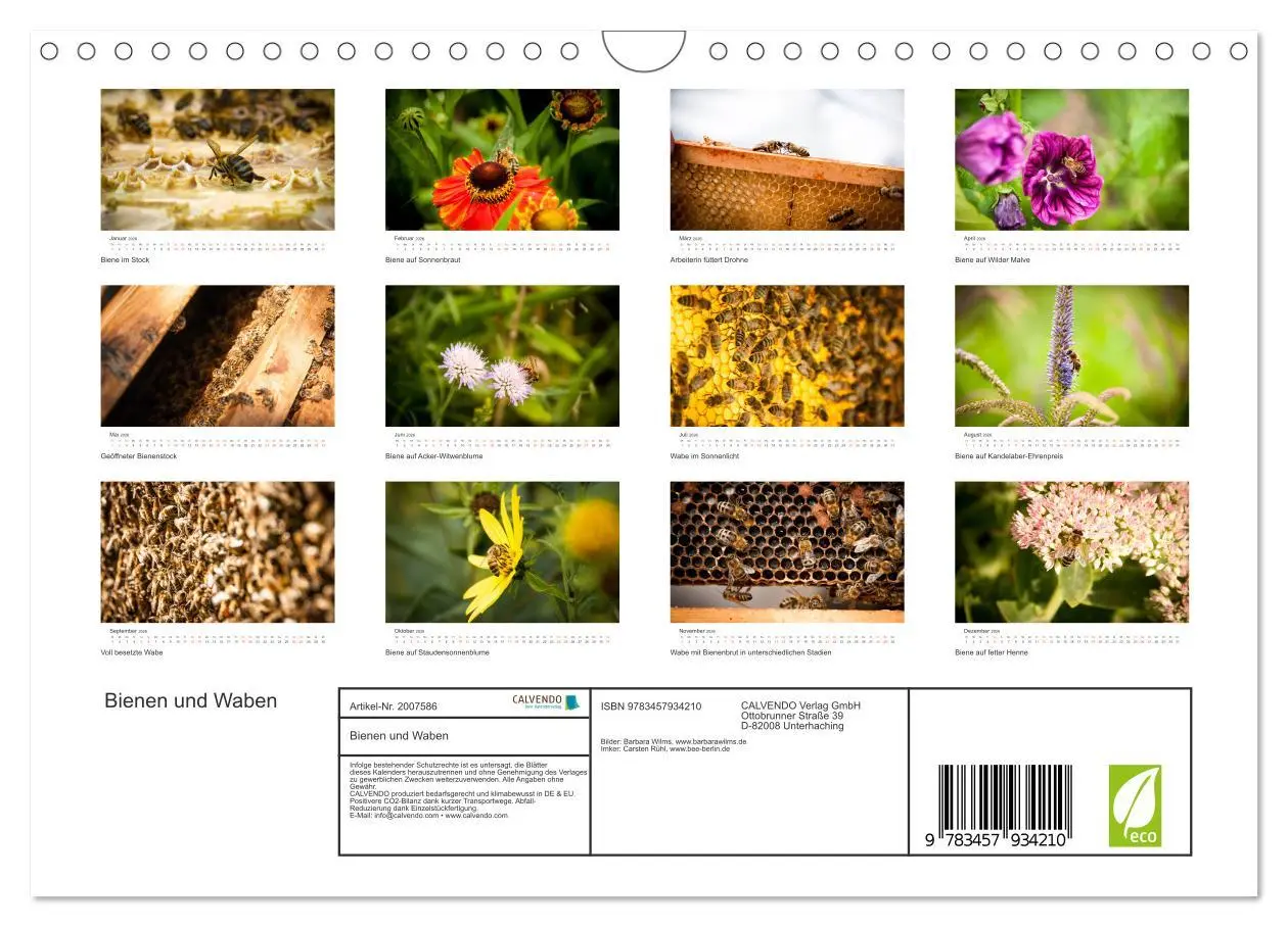 Bild: 9783457934210 | Bienen und Waben (Wandkalender 2026 DIN A4 quer), CALVENDO...