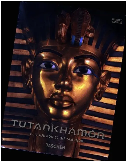 Cover: 9783836584210 | Tutankhamón. El viaje por el inframundo. 40th Ed. | Sandro Vannini