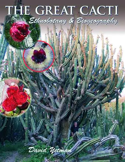 Cover: 9780816524310 | The Great Cacti | Ethnobotany and Biogeography | David Yetman | Buch