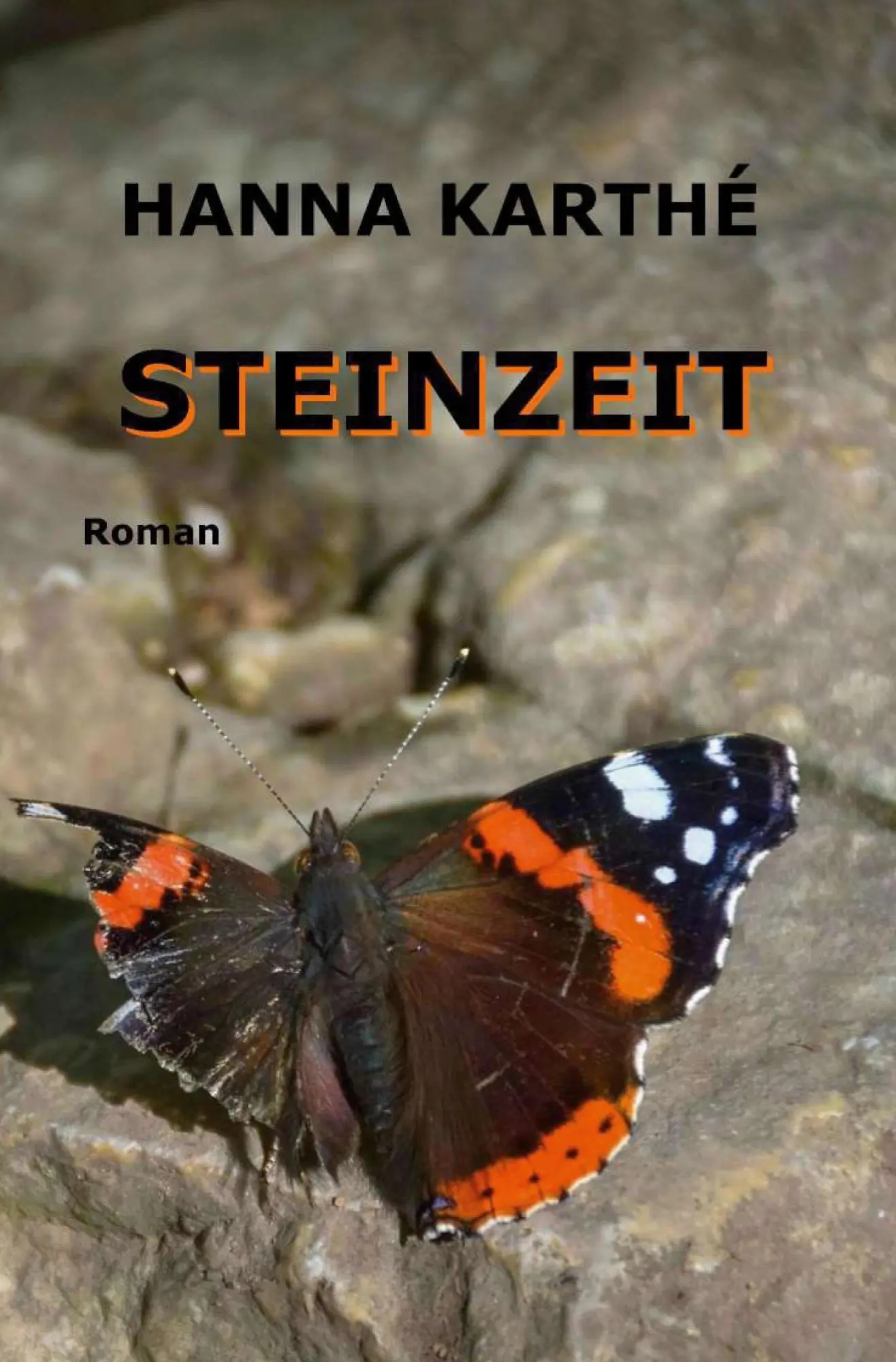 Cover: 9783347274310 | Steinzeit | Hanna Karthé | Taschenbuch | Paperback | 488 S. | Deutsch