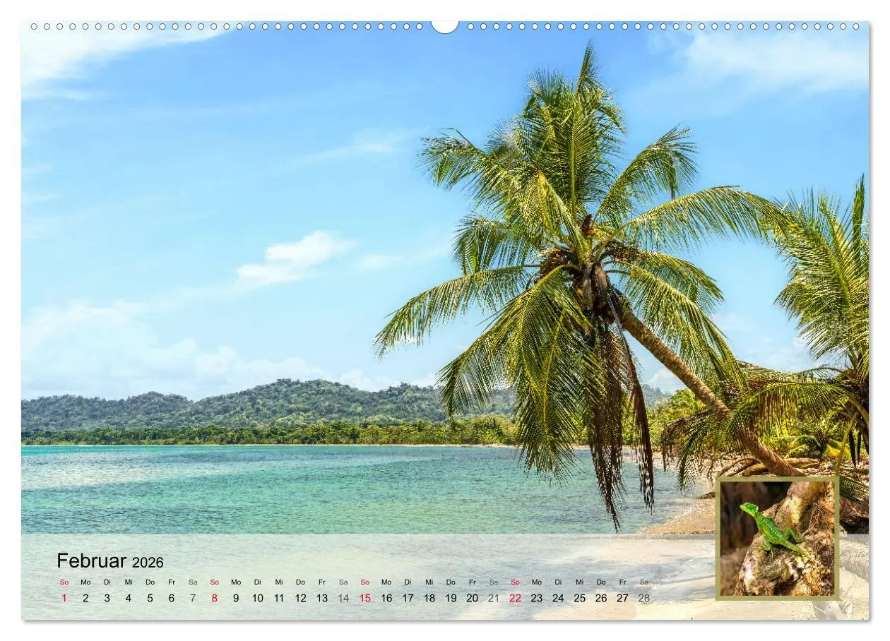 Bild: 9783457304310 | Costa Rica Dreams Tropische Naturwunder (Wandkalender 2026 DIN A2...