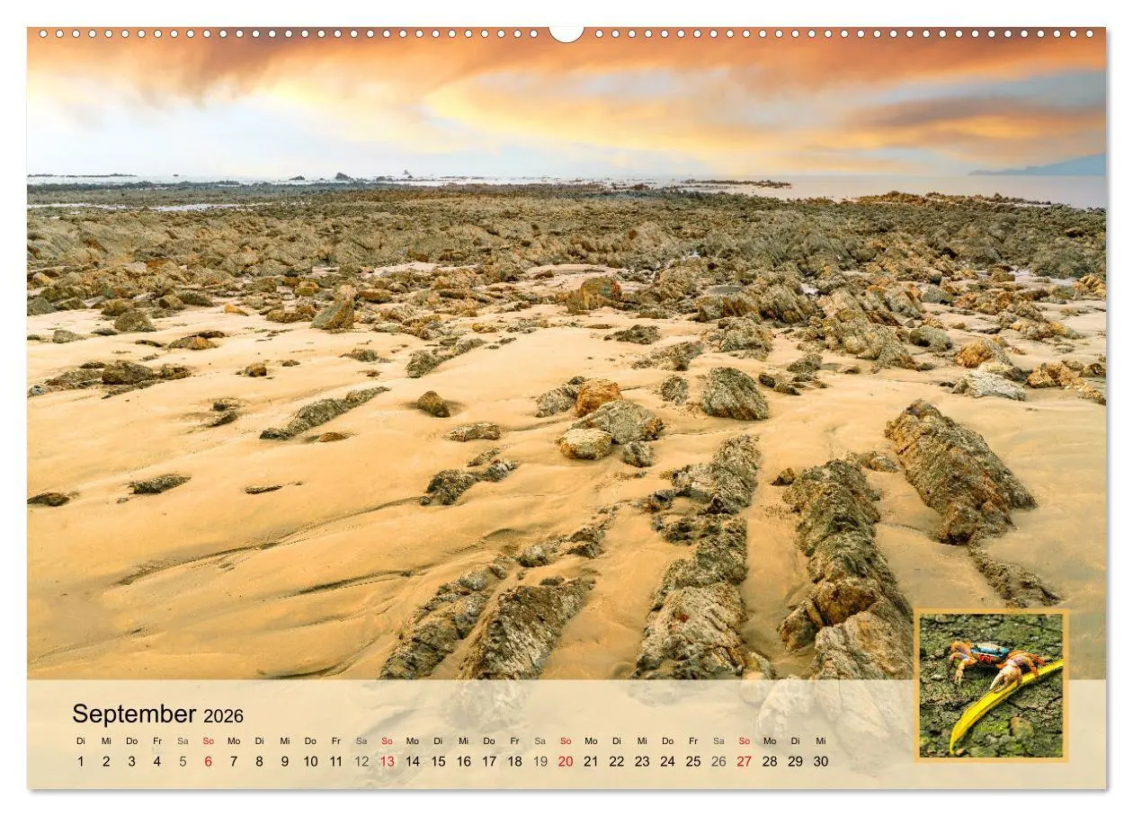 Bild: 9783457304310 | Costa Rica Dreams Tropische Naturwunder (Wandkalender 2026 DIN A2...