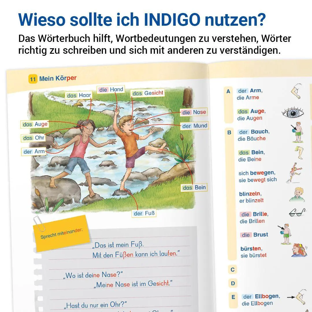 Bild: 9783619144310 | INDIGO - Das Wörterbuch mit Bildern | 2. Schuljahr bis 8. Schuljahr