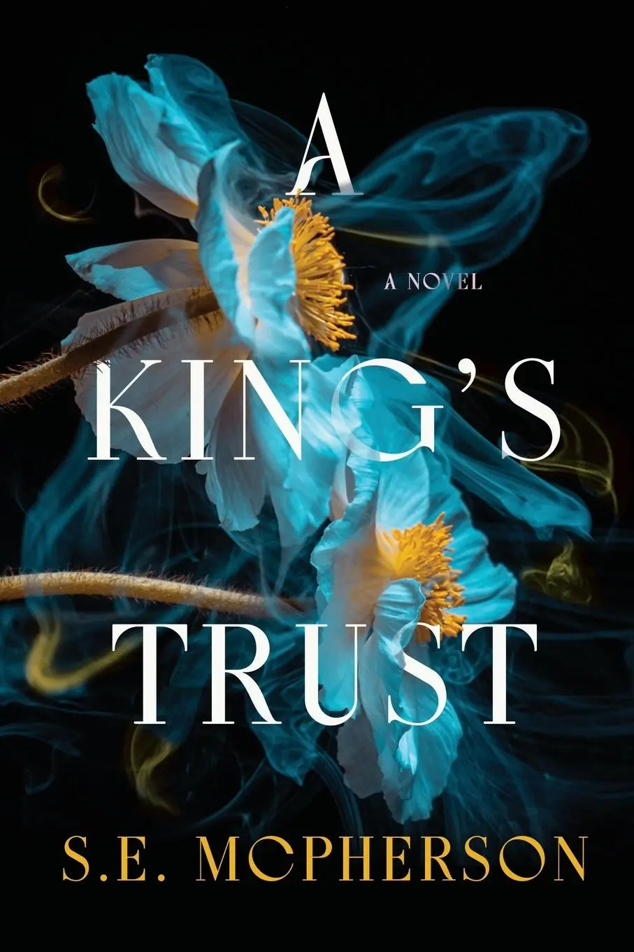 Cover: 9798992254310 | A King's Trust | S. E. McPherson | Taschenbuch | Englisch | 2025