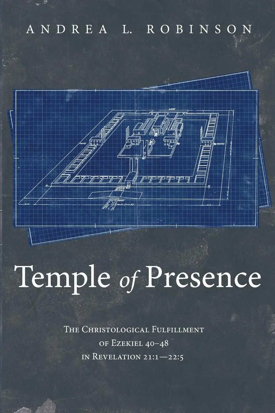 Cover: 9781532664410 | Temple of Presence | Andrea L. Robinson | Taschenbuch | Englisch