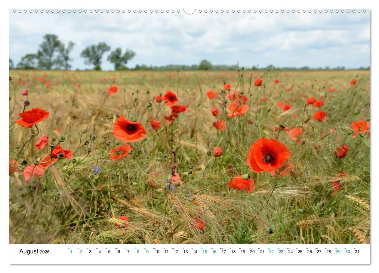 Bild: 9783457914410 | Die Havel entlang - Brandenburg, Rathenow, Havelberg (Wandkalender...