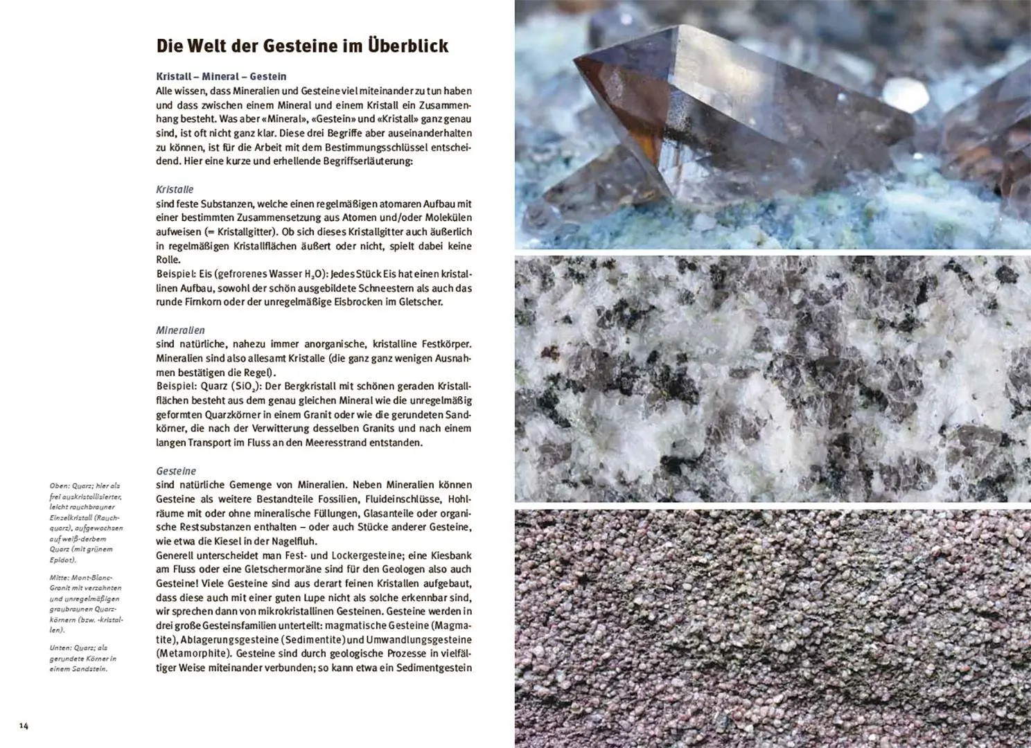Bild: 9783258084510 | Gesteine einfach bestimmen | Der Bestimmungsschlüssel | Jürg Meyer