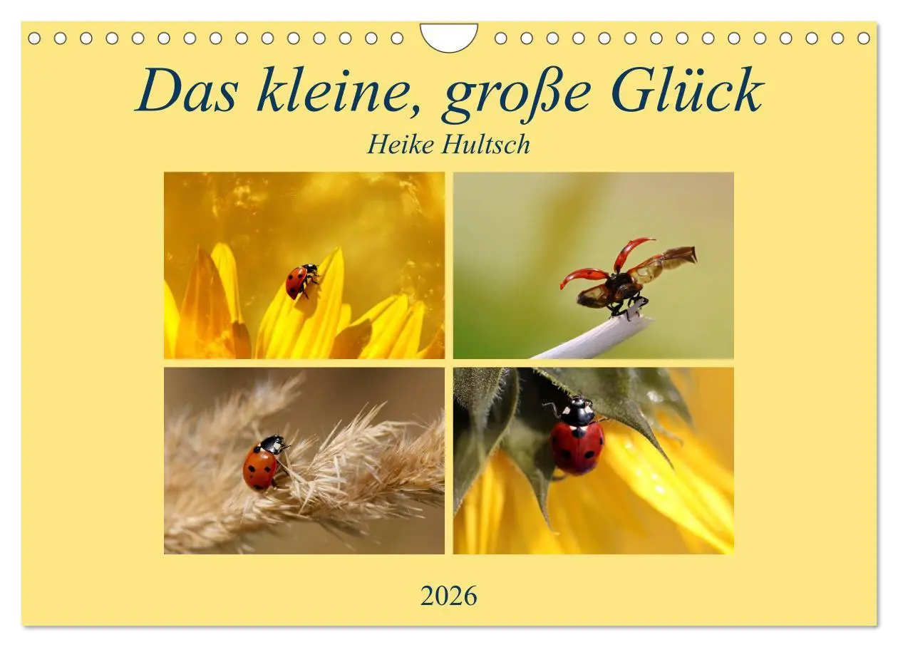 Cover: 9783516234510 | Das kleine, große Glück (Wandkalender 2026 DIN A4 quer), CALVENDO...