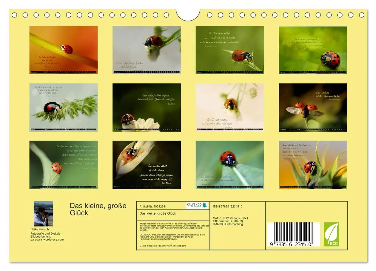 Bild: 9783516234510 | Das kleine, große Glück (Wandkalender 2026 DIN A4 quer), CALVENDO...