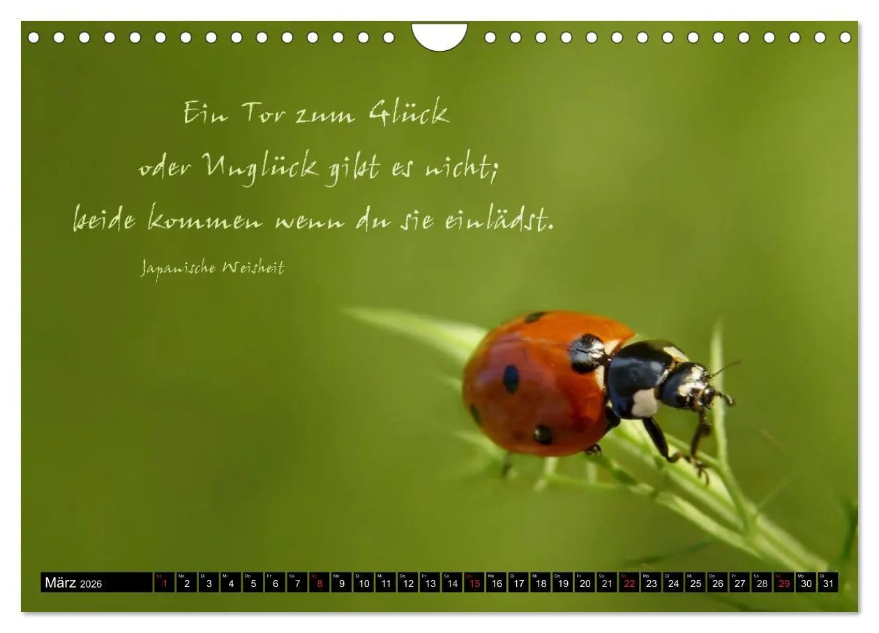 Bild: 9783516234510 | Das kleine, große Glück (Wandkalender 2026 DIN A4 quer), CALVENDO...