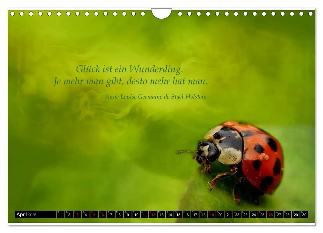 Bild: 9783516234510 | Das kleine, große Glück (Wandkalender 2026 DIN A4 quer), CALVENDO...