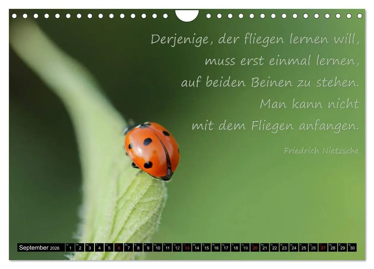 Bild: 9783516234510 | Das kleine, große Glück (Wandkalender 2026 DIN A4 quer), CALVENDO...