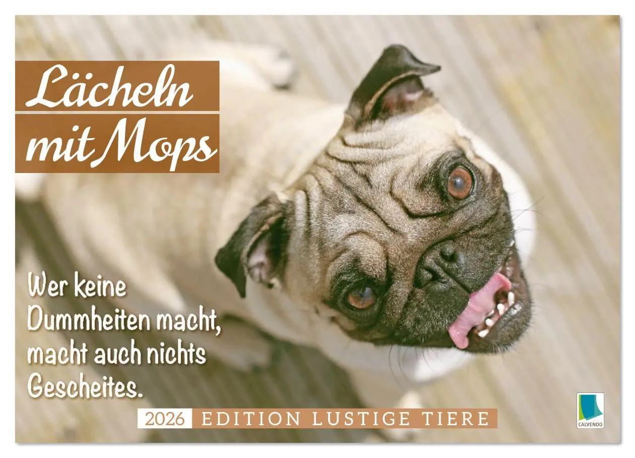 Cover: 9783516614510 | Lächeln mit Mops (Wandkalender 2026 DIN A3 quer), CALVENDO...