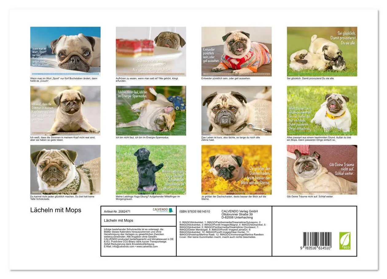 Bild: 9783516614510 | Lächeln mit Mops (Wandkalender 2026 DIN A3 quer), CALVENDO...