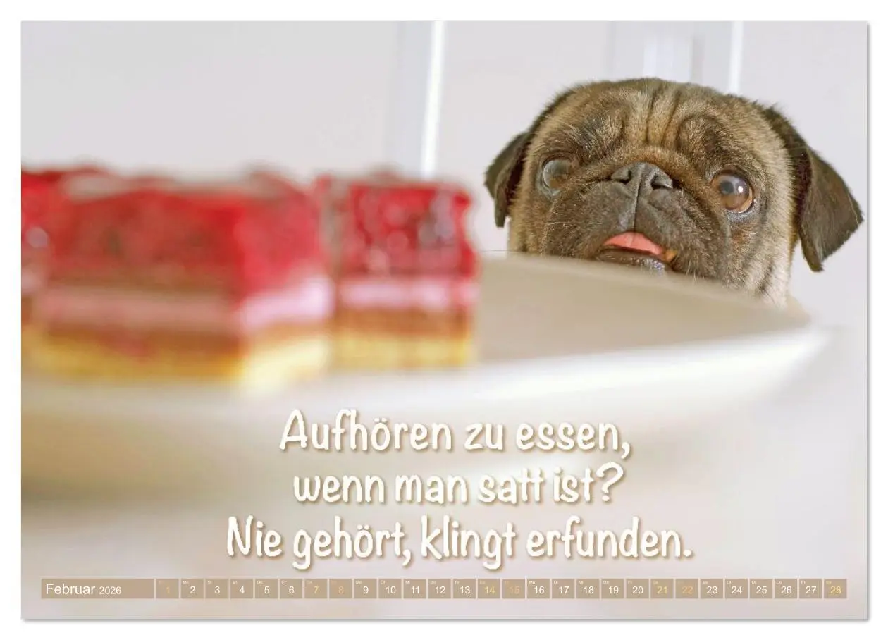 Bild: 9783516614510 | Lächeln mit Mops (Wandkalender 2026 DIN A3 quer), CALVENDO...