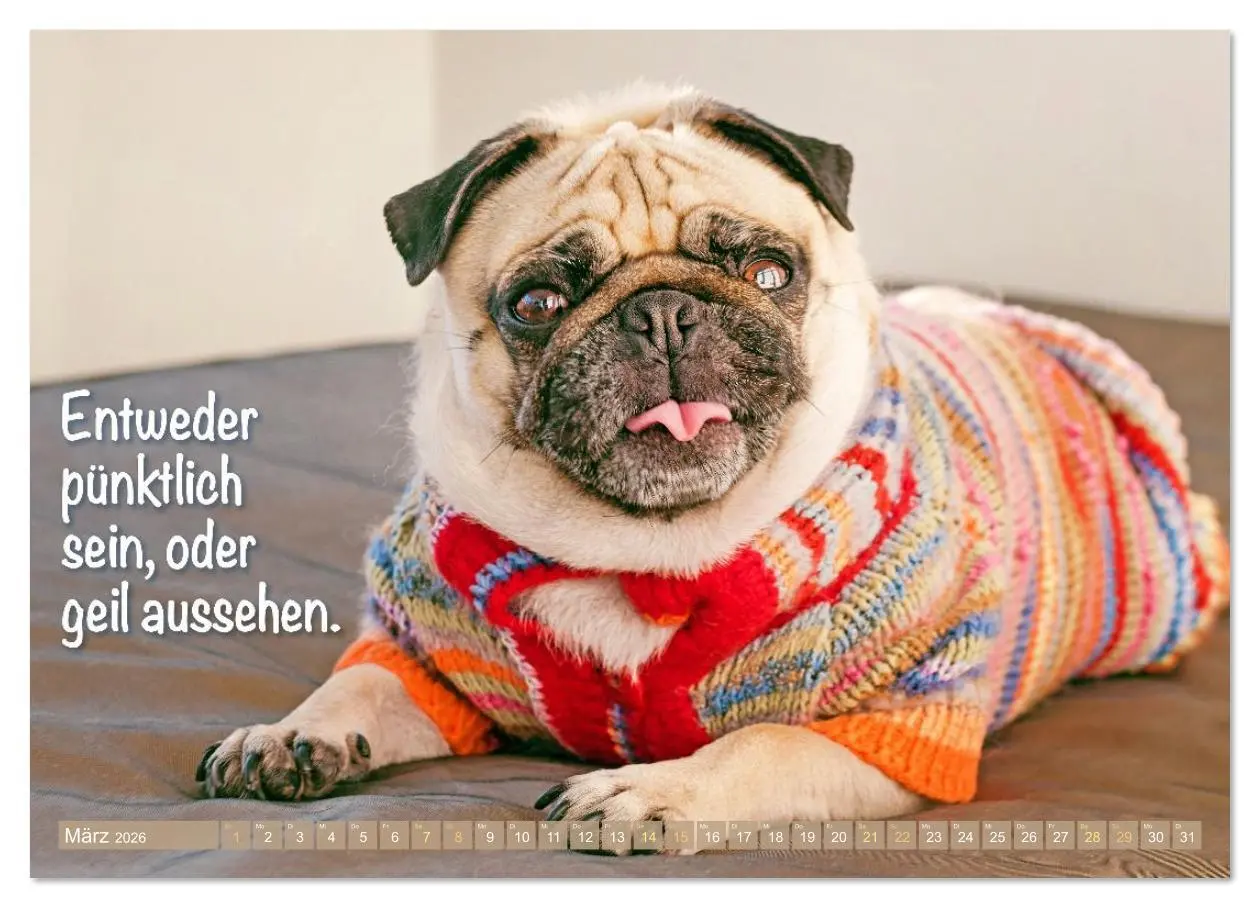 Bild: 9783516614510 | Lächeln mit Mops (Wandkalender 2026 DIN A3 quer), CALVENDO...