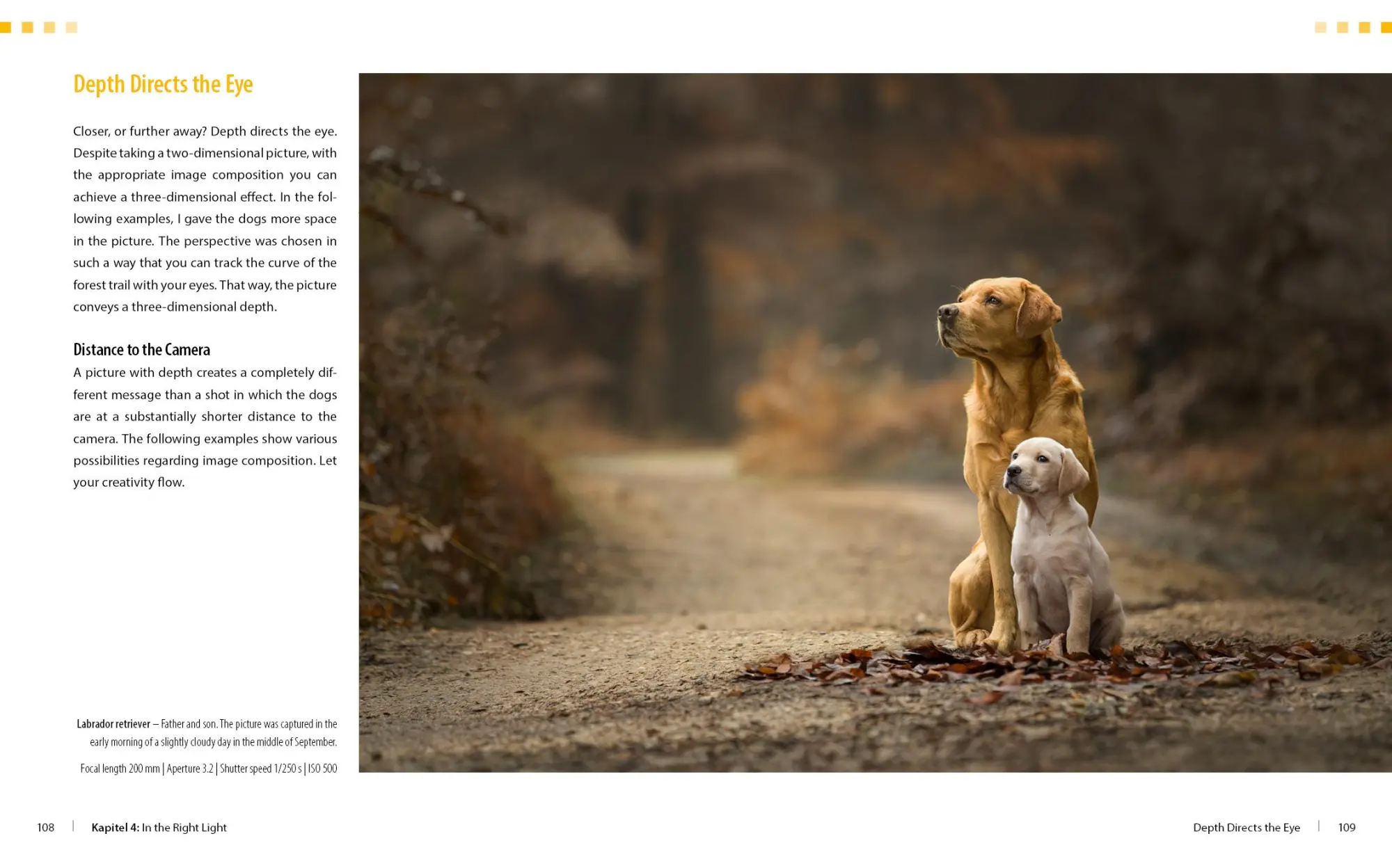 Bild: 9783832804510 | Dog Photography - Shooting with Bow "Wow" Effect | Heuser Regine
