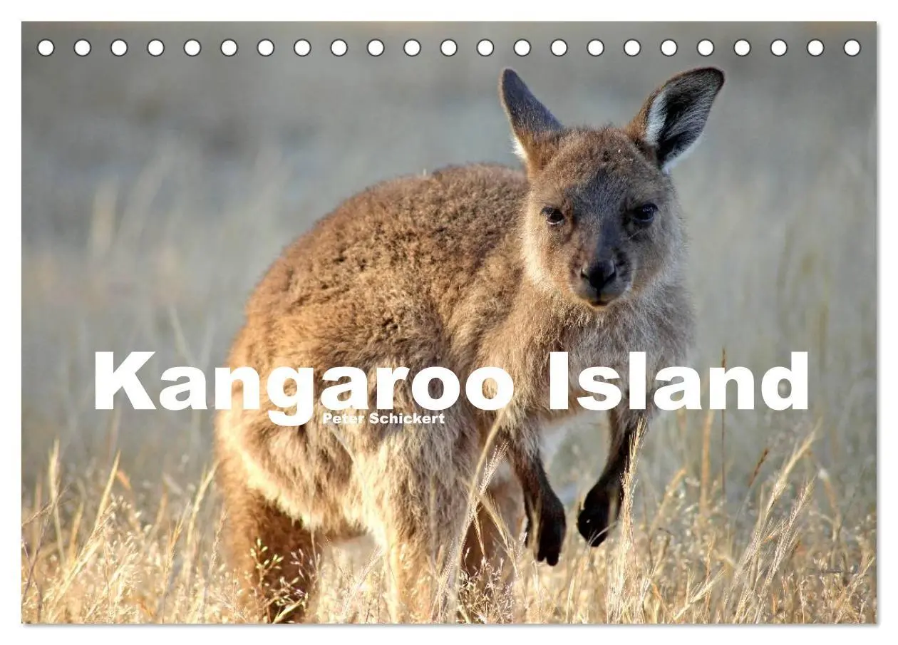 Cover: 9783516224610 | Kangaroo Island (Tischkalender 2026 DIN A5 quer), CALVENDO...