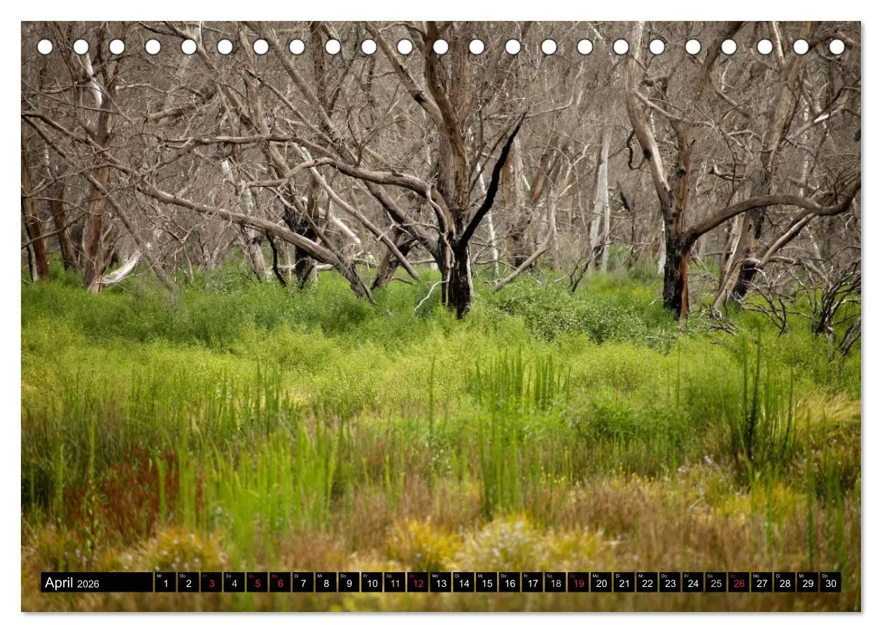 Bild: 9783516224610 | Kangaroo Island (Tischkalender 2026 DIN A5 quer), CALVENDO...