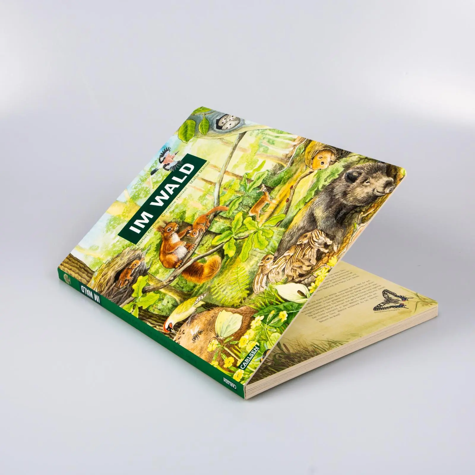 Bild: 9783551254610 | Im Wald | Bärbel Oftring | Buch | 18 S. | Deutsch | 2022