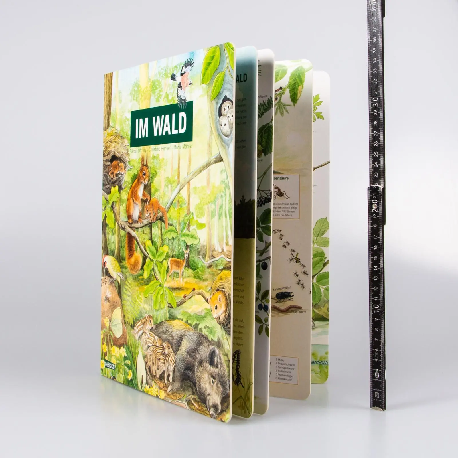 Bild: 9783551254610 | Im Wald | Bärbel Oftring | Buch | 18 S. | Deutsch | 2022