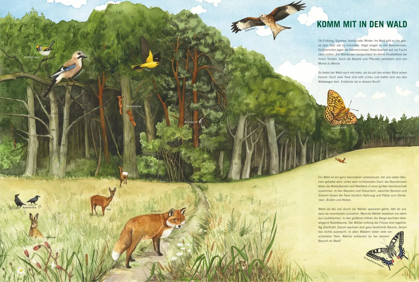 Bild: 9783551254610 | Im Wald | Bärbel Oftring | Buch | 18 S. | Deutsch | 2022