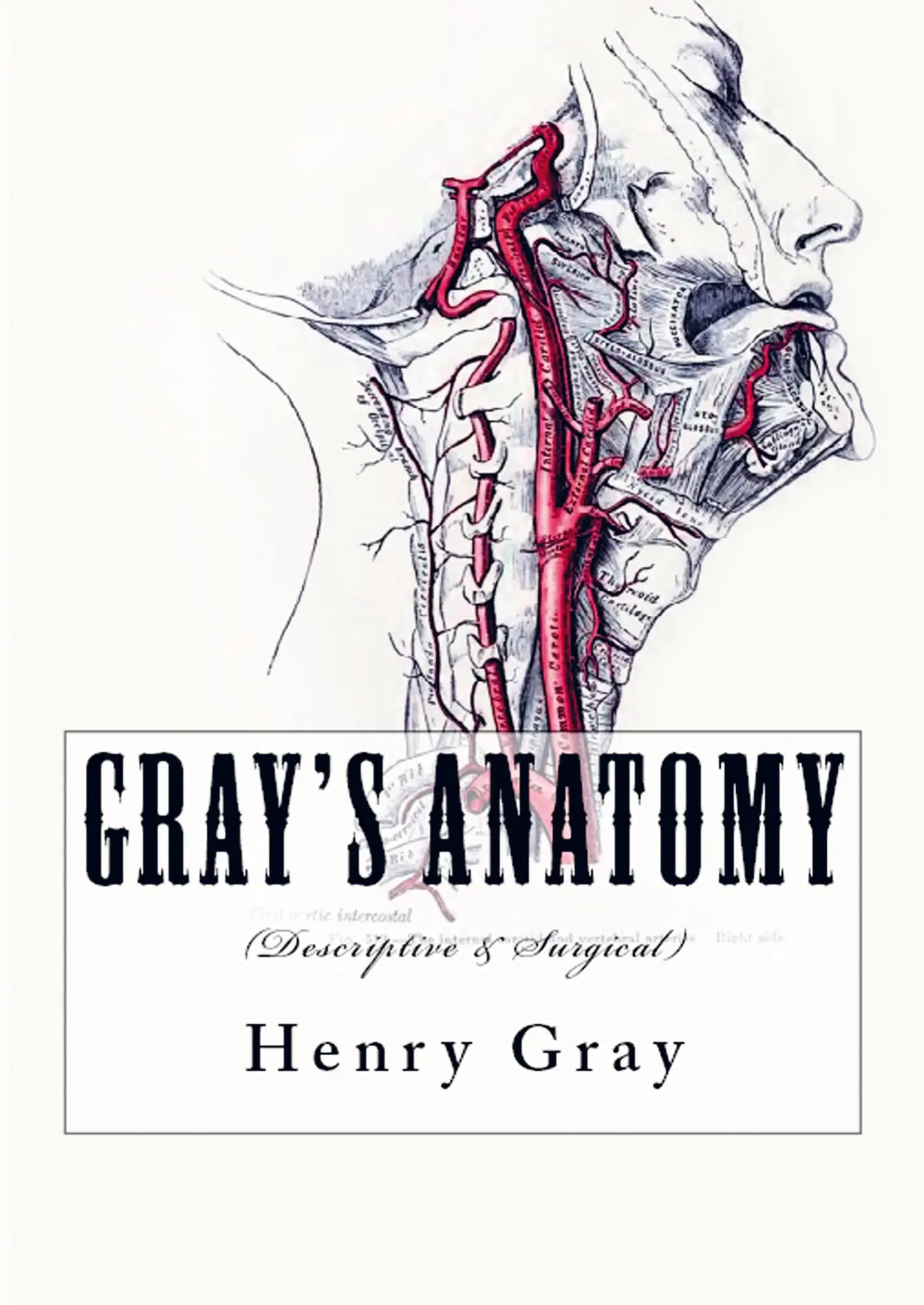 Cover: 9786256004610 | Gray's Anatomy | (Descriptive &amp; Surgical) | Henry Gray | Taschenbuch