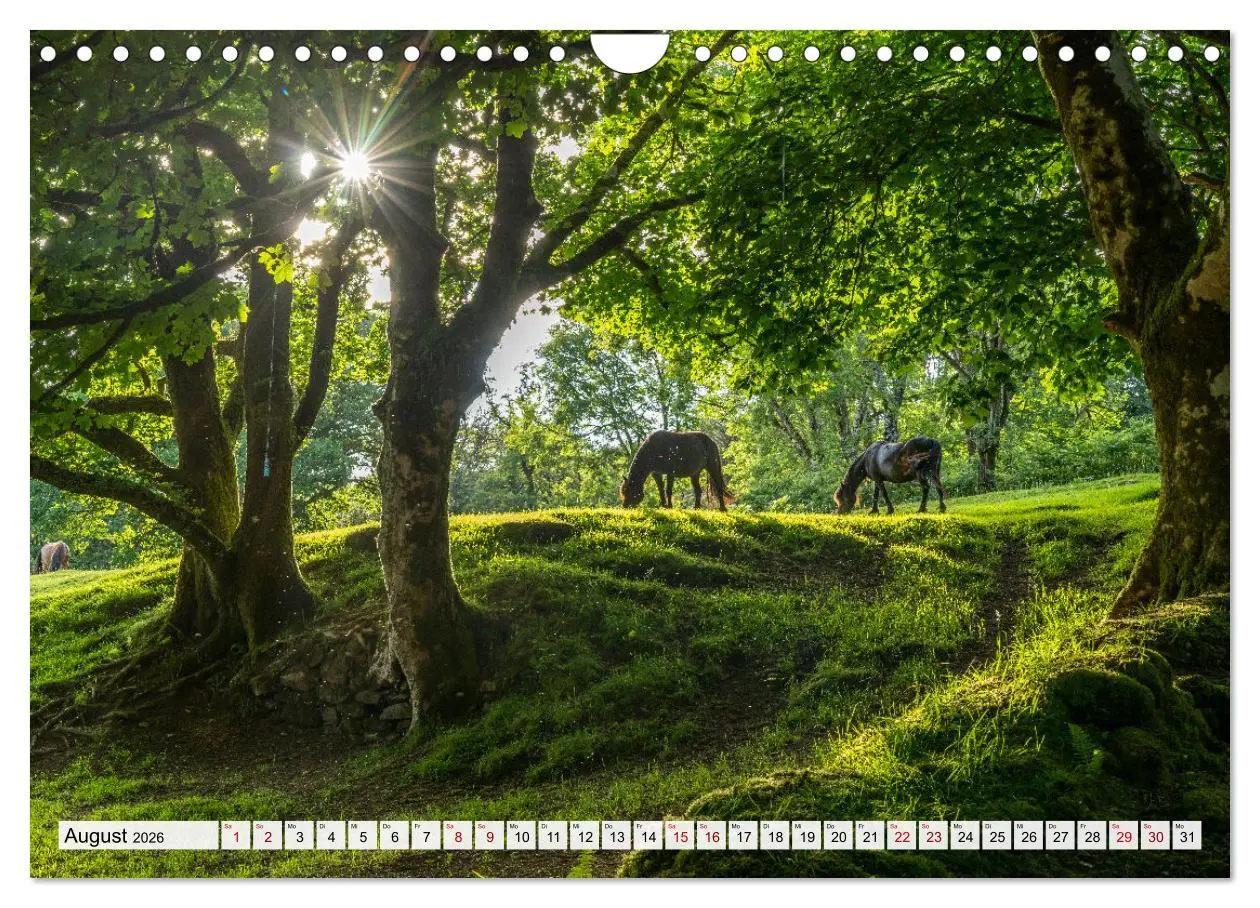 Bild: 9783457364710 | Großbritannien - England (Wandkalender 2026 DIN A4 quer), CALVENDO...