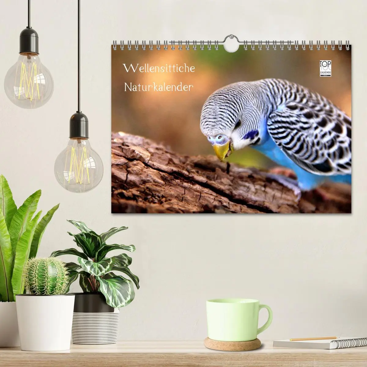 Bild: 9783516204810 | Wellensittiche - Naturkalender (Wandkalender 2026 DIN A4 quer),...